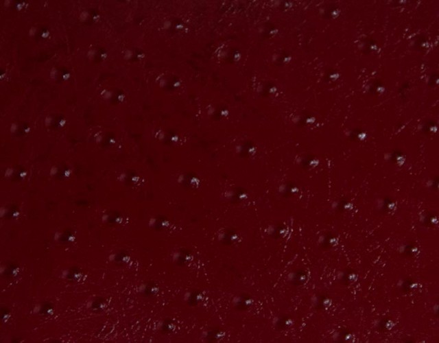 Avestruz vermelho