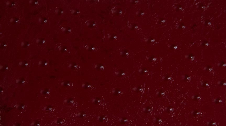 Avestruz vermelho