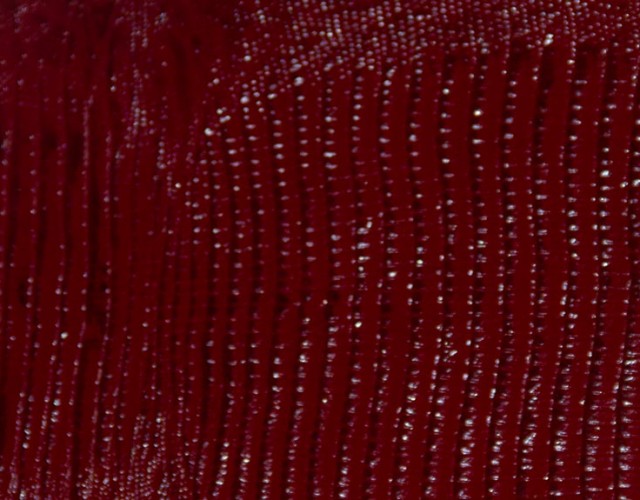 Lezard vermelho